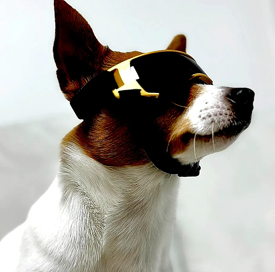 위드레오 강아지선글라스 강아지고글 소형견용 이미지 2