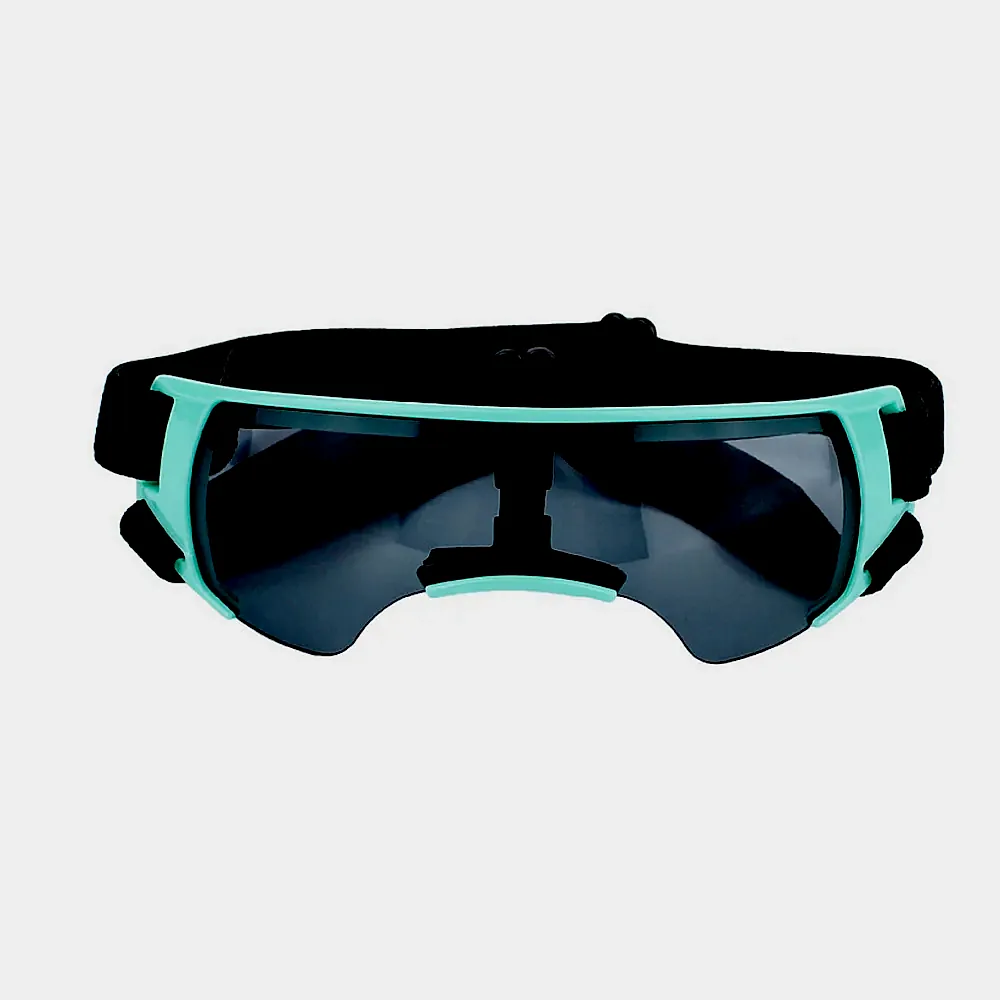 위드레오 강아지선글라스 강아지고글 소형견용 이미지 8