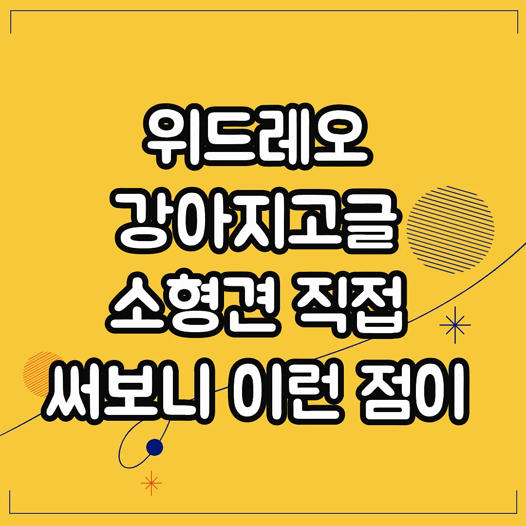위드레오 강아지고글 소형견 직접 써보니 이런 점이 달랐다 썸네일